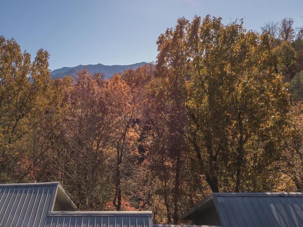 Sasquatch Lodge E Sleeps 13 Гетлинбург Екстериор снимка